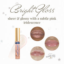 Load image into Gallery viewer, MERRY AND BRIGHT MINI LIP & EYE COLLECTION SET of 4 (2022) - LipSense/ShadowSense