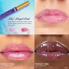 Load image into Gallery viewer, PERFECT PINK PH GLOSSY TINT GLOSS - LipSense
